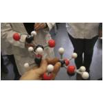 CAM_0357AldehydgruppeDerGlucose.JPG