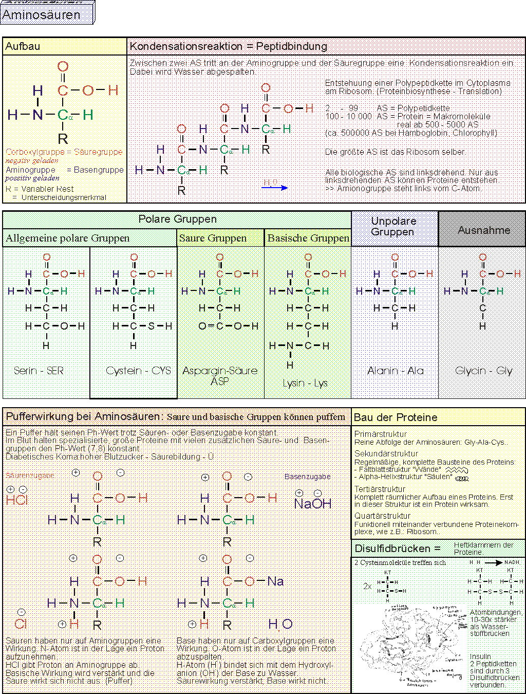 chaminre.GIF (96393 Byte)